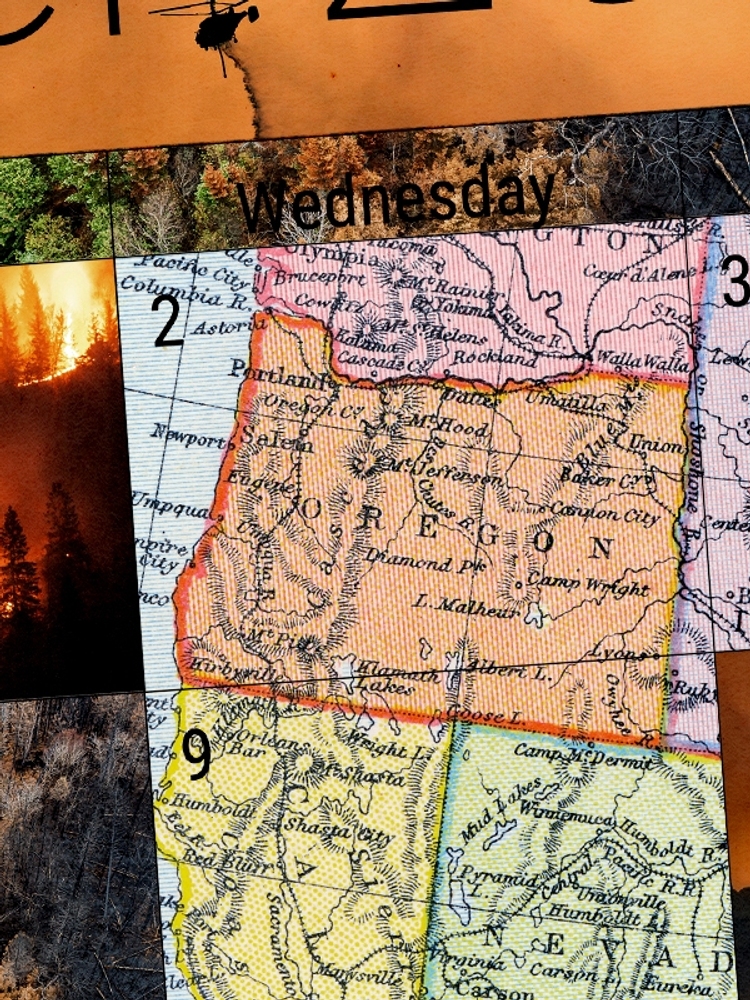 Wildfire.