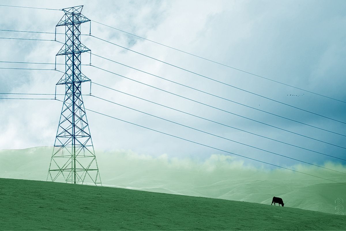 Power lines.