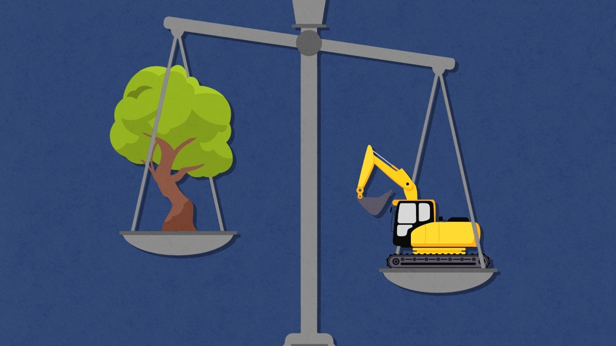 A tree and a bulldozer on a scale.