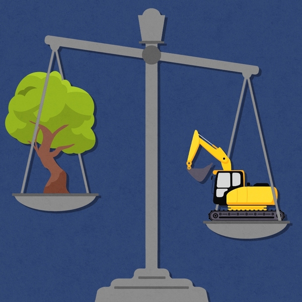 A tree and a bulldozer on a scale.