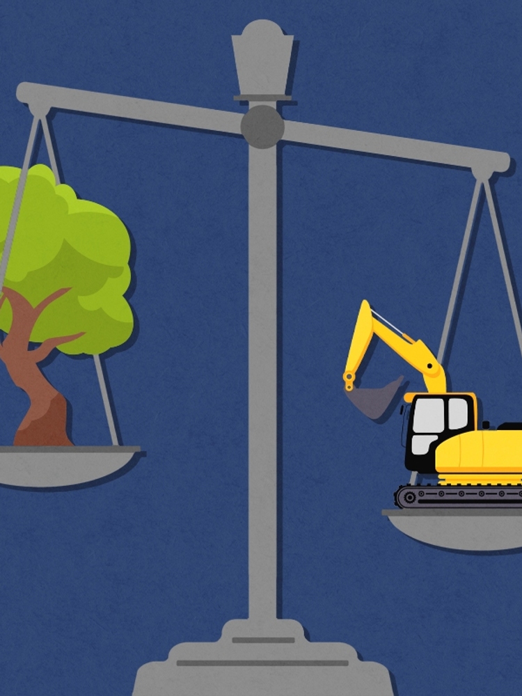 A tree and a bulldozer on a scale.