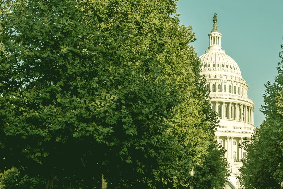 The Capitol.