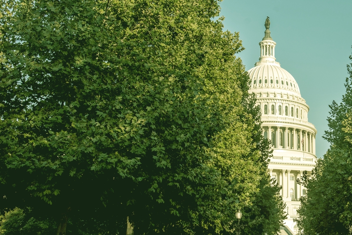 The Capitol.