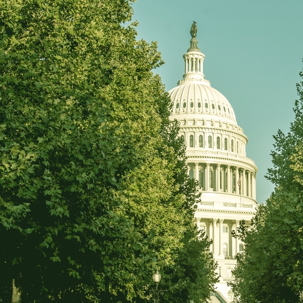 The Capitol.
