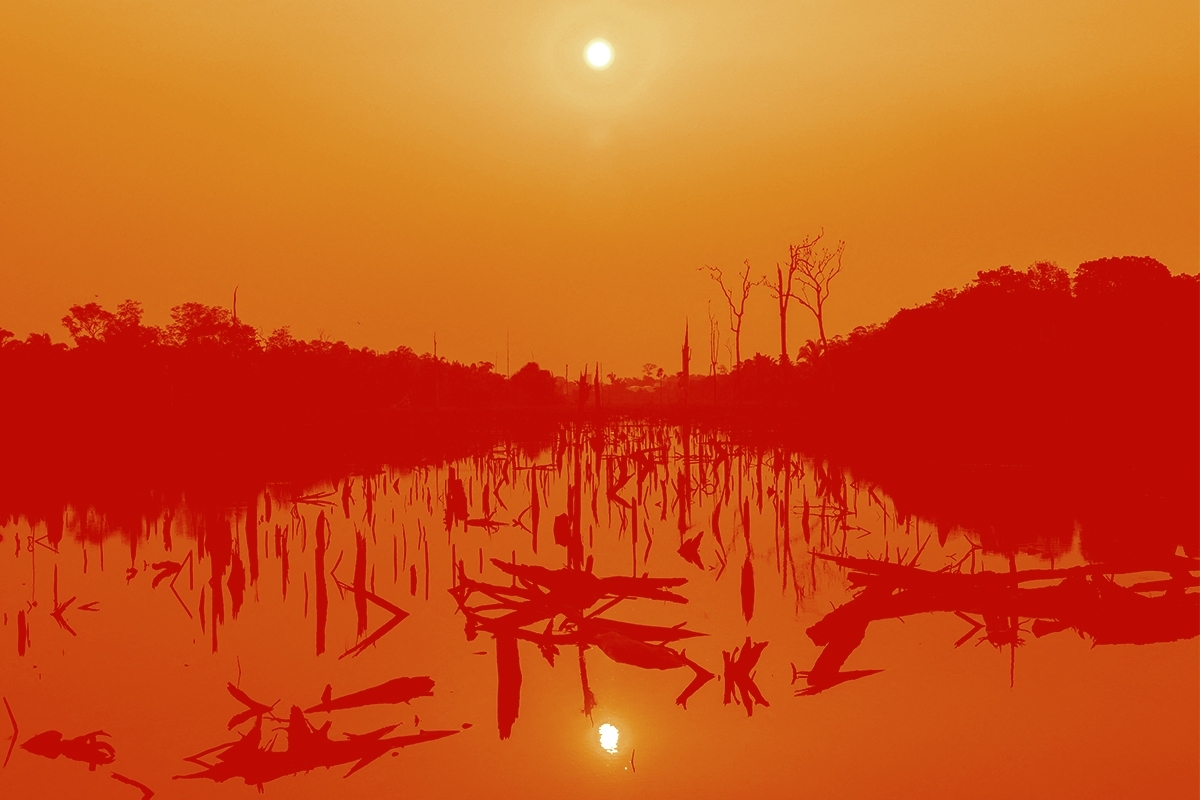 The Amazon.