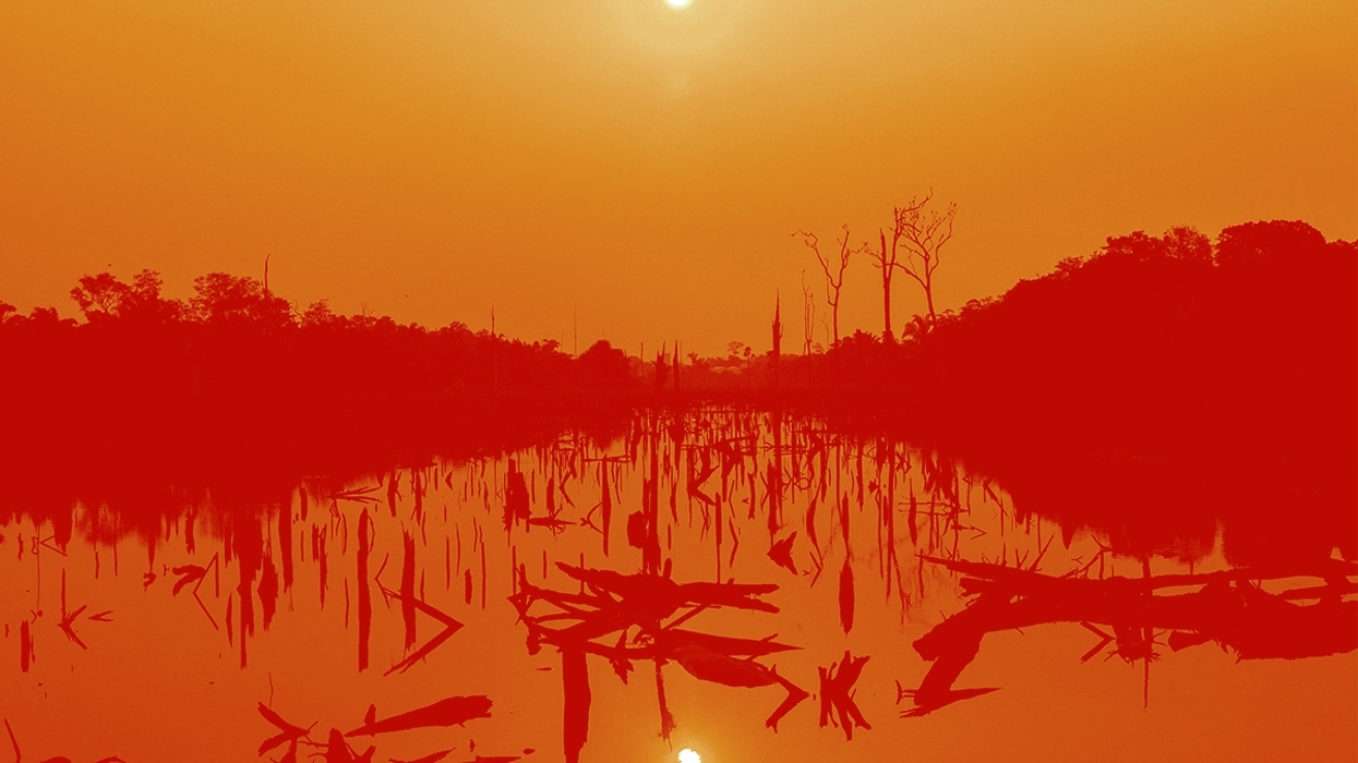 The Amazon.