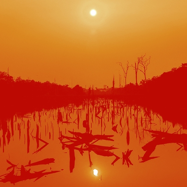 The Amazon.