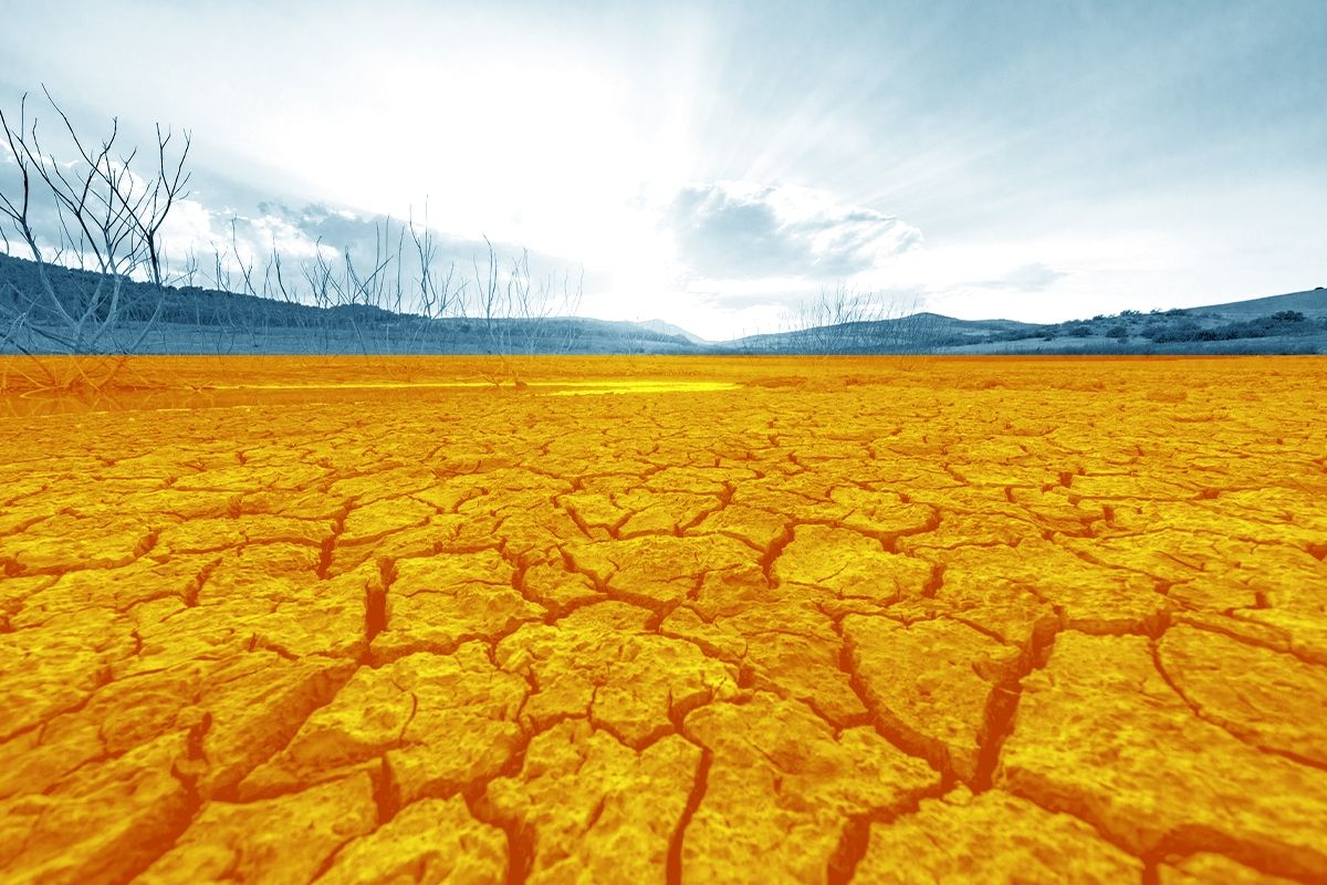 A parched landscape.