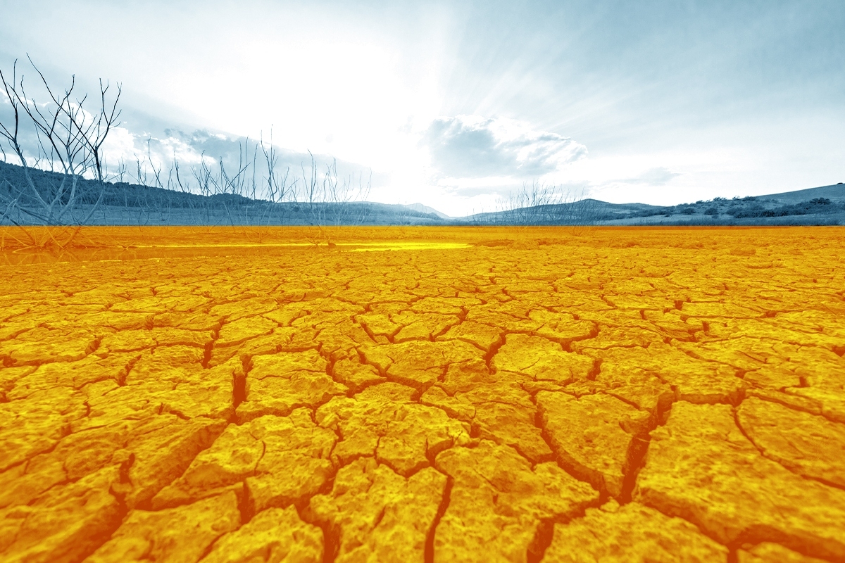 A parched landscape.