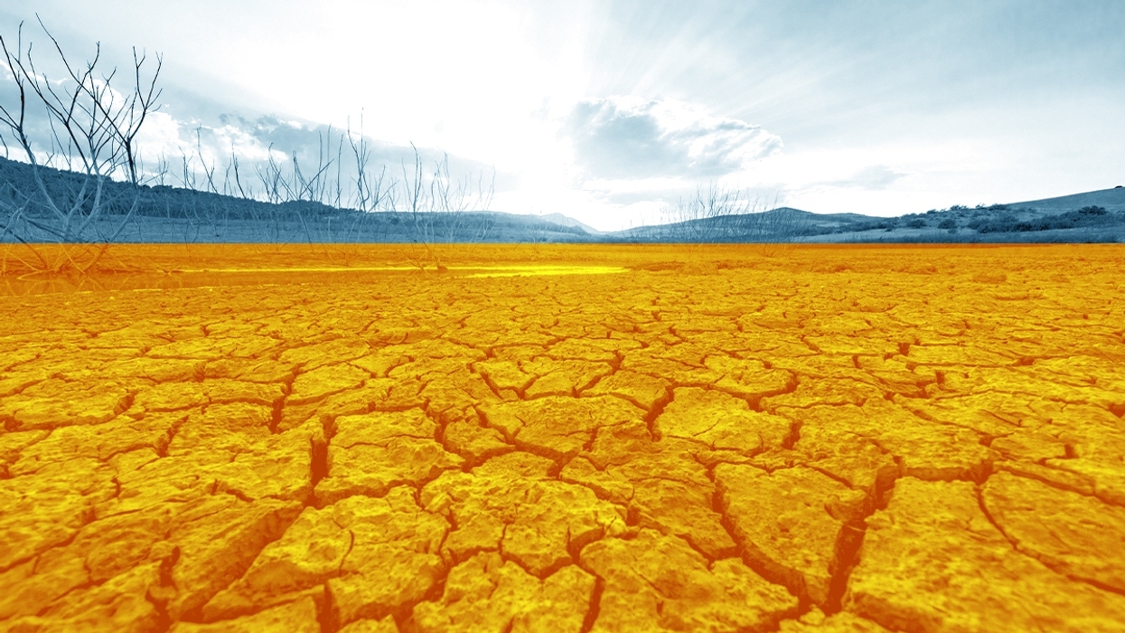 A parched landscape.