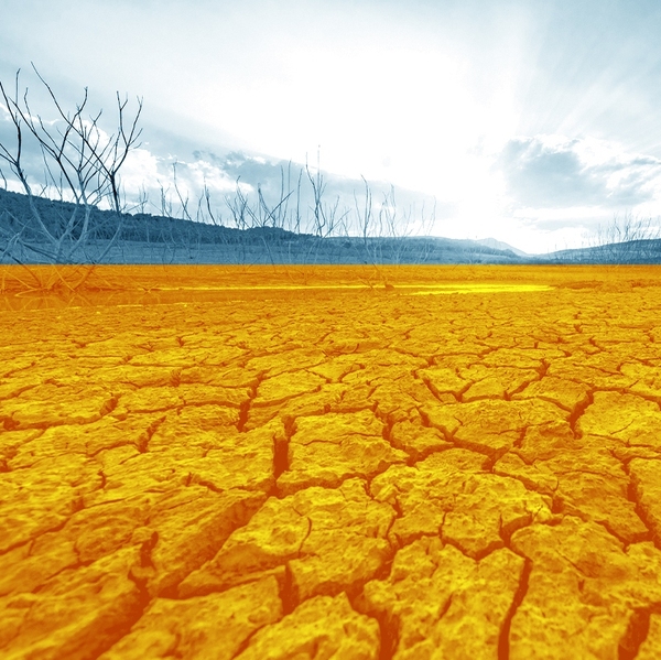 A parched landscape.