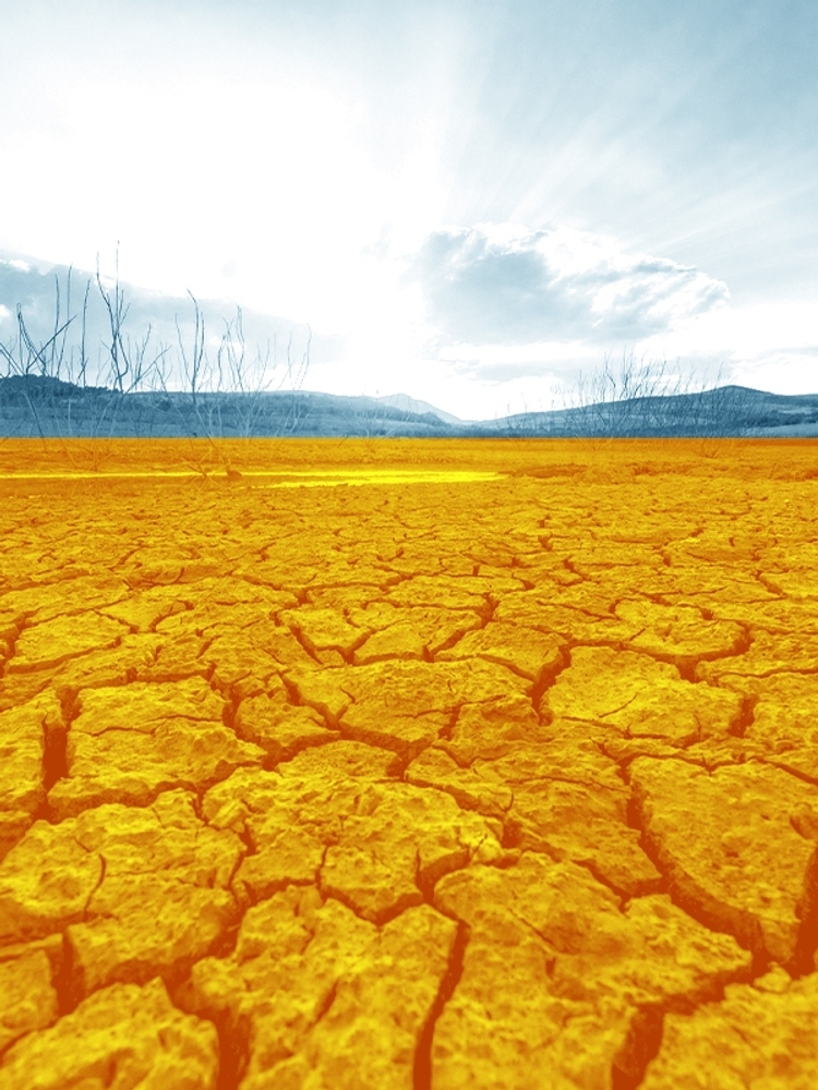 A parched landscape.