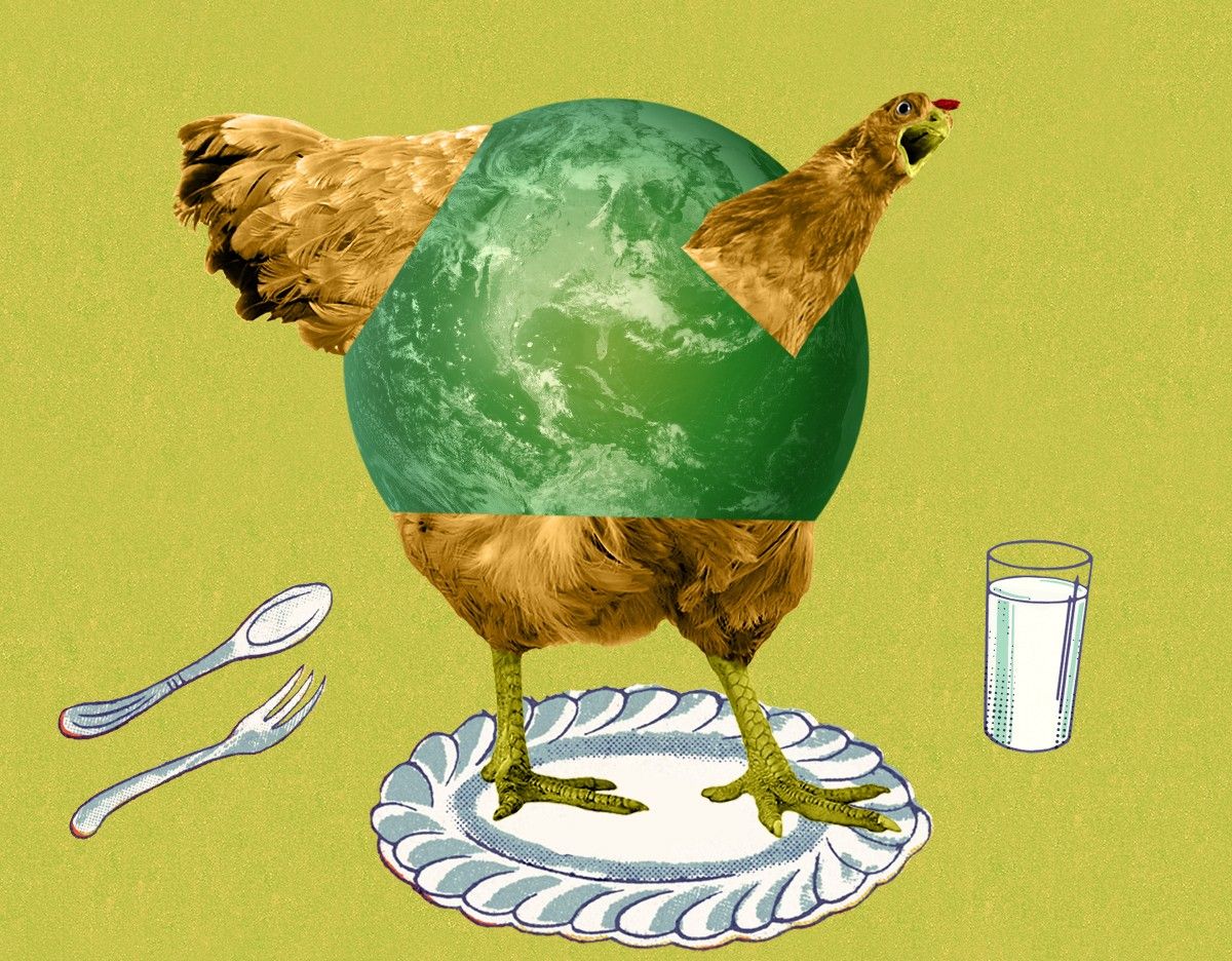 A chicken on a plate.