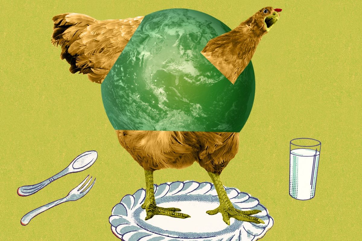 A chicken on a plate.