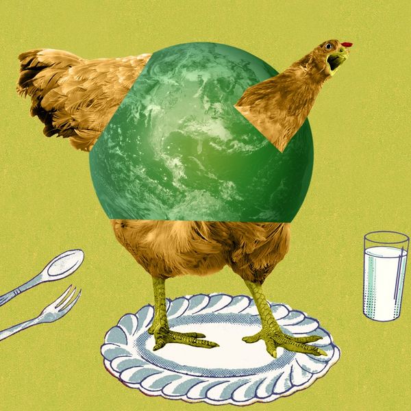 A chicken on a plate.