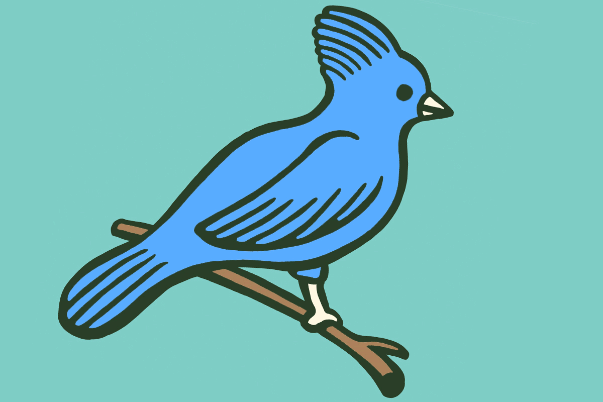 A cool bird with sunglasses.