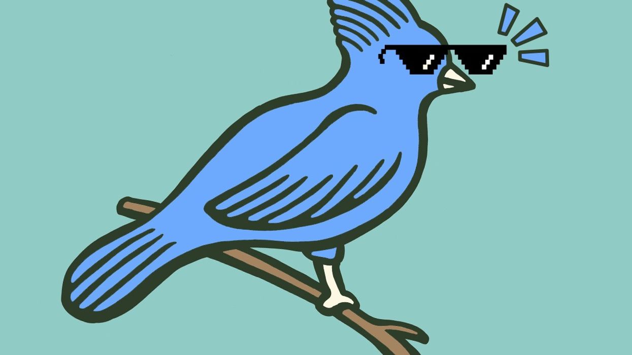 A cool bird with sunglasses.