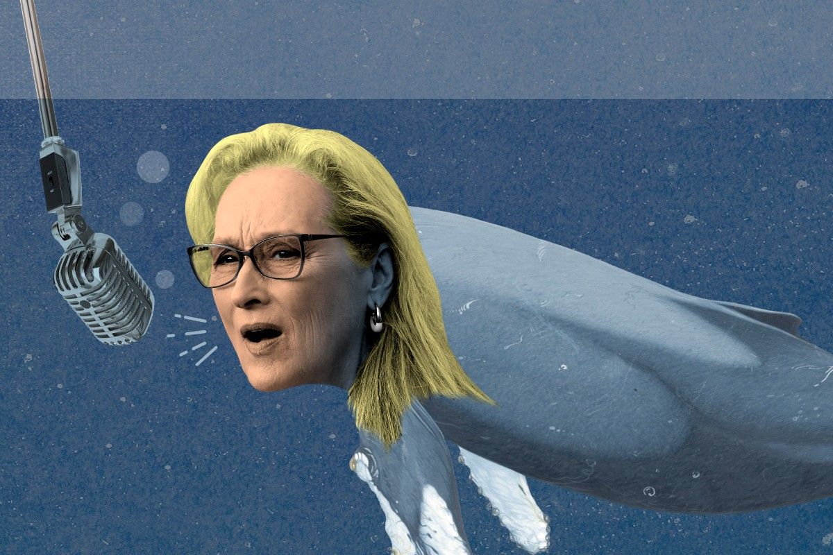 Meryl Streep as a whale.