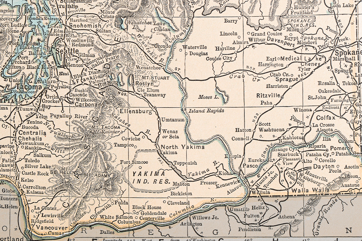 A Washington state grizzly bear.