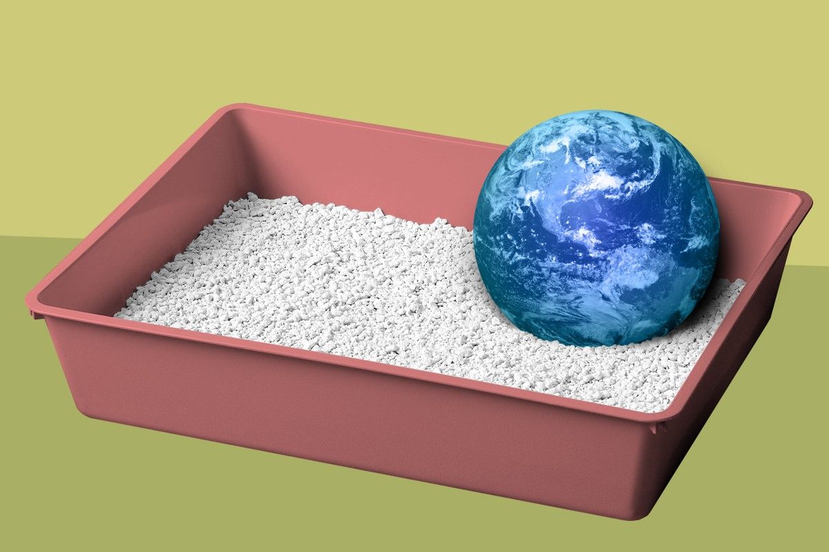 Earth in a litter box.