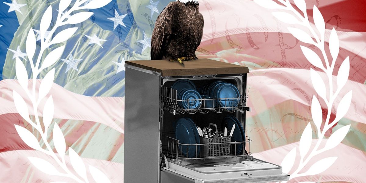 The Culture War Comes For Dishwashers Heatmap News