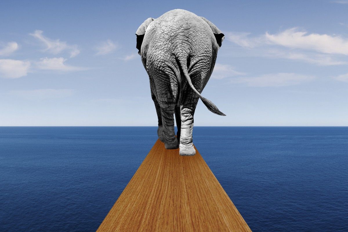 An elephant walking the plank.