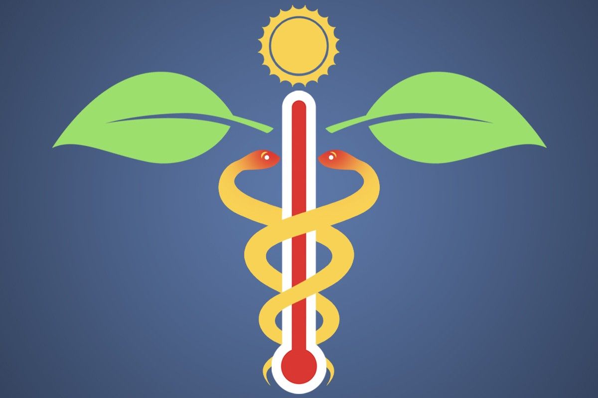 A caduceus with climate symbols.