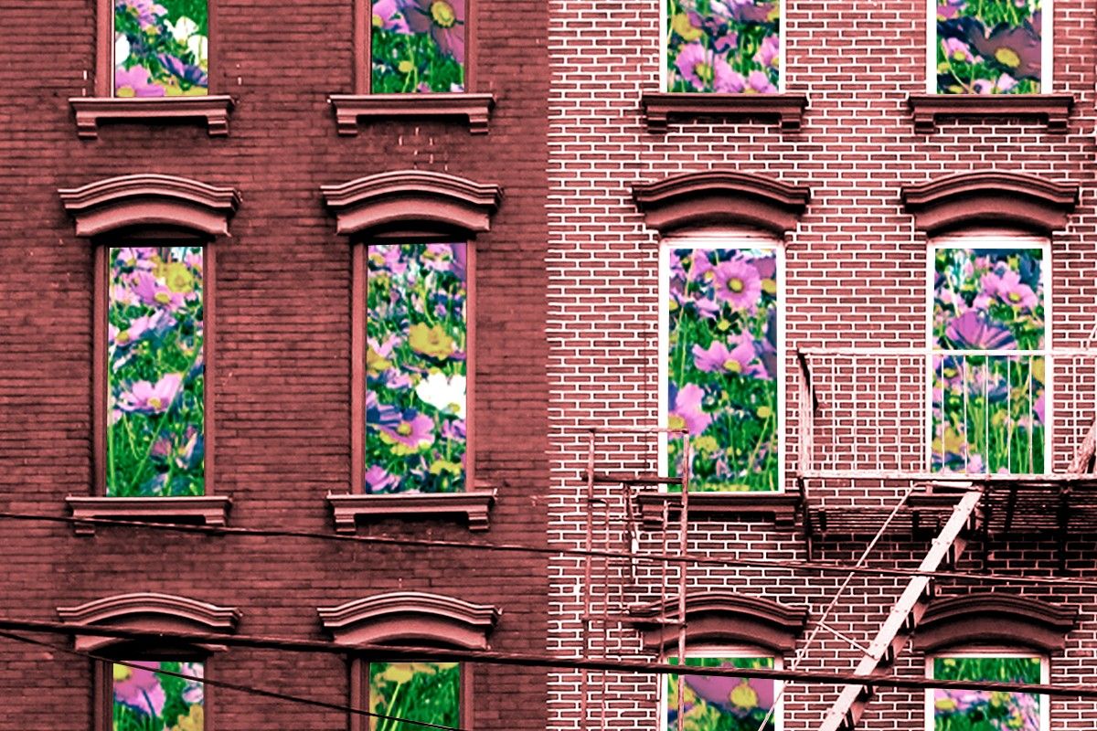 An apartment building with flowers in the windows.