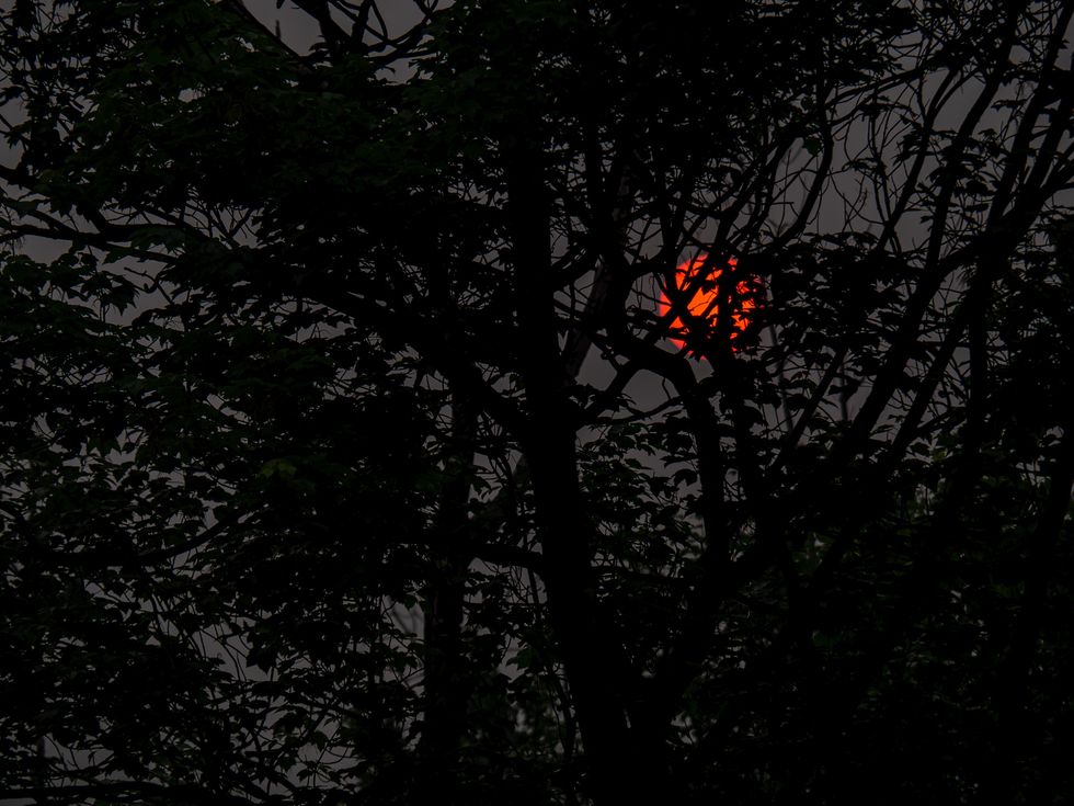 The setting sun.