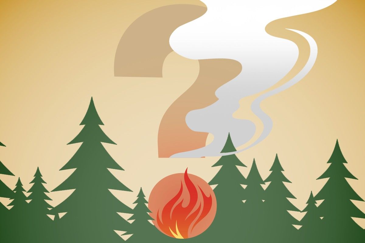 A question mark amid a wildfire.