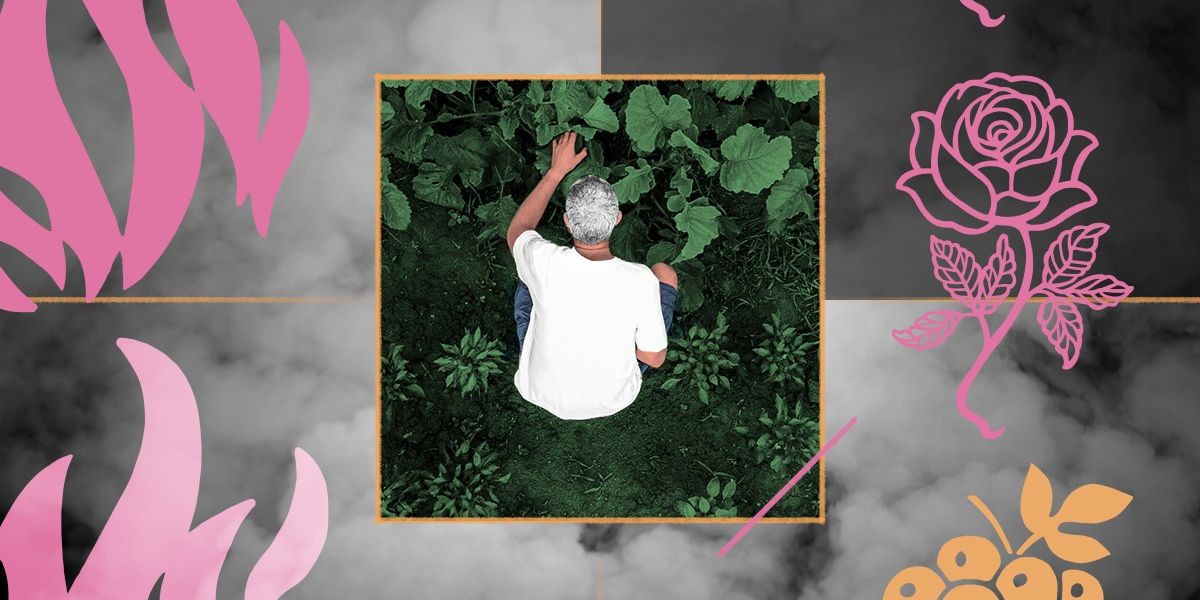 Is the Smoke Bad for My Plants? Heatmap News