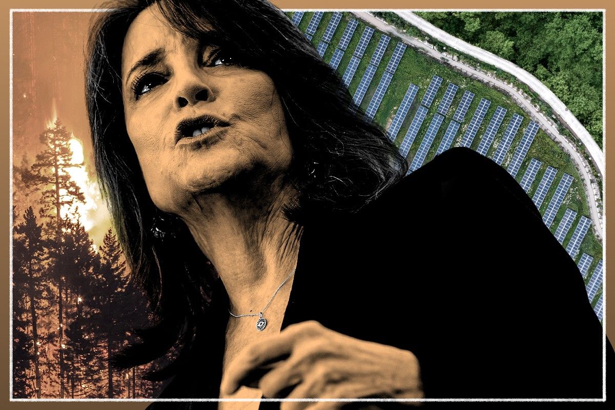 Marianne Williamson.