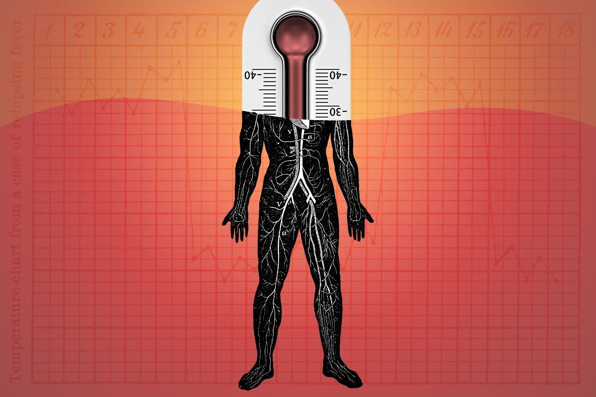 The human body and a thermometer.