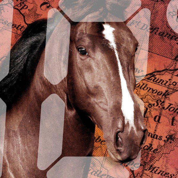 A horse and a map of Arizona.