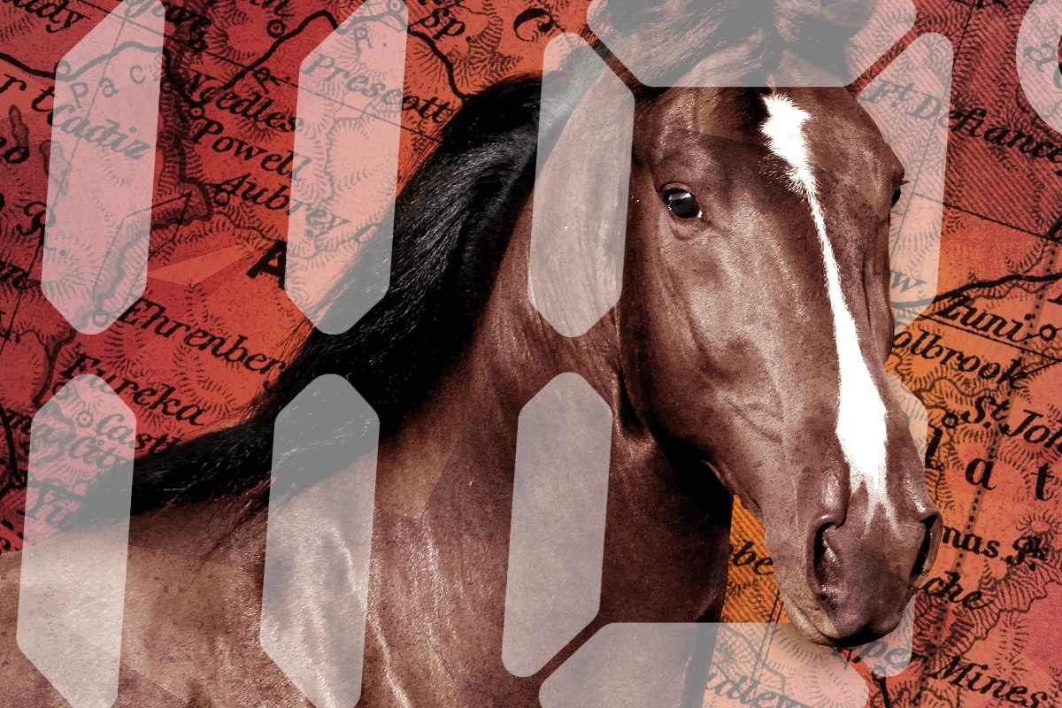 A horse and a map of Arizona.