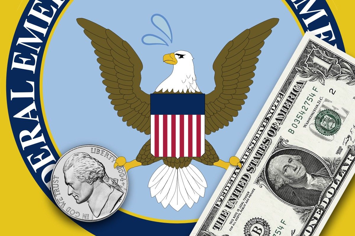The FEMA logo holding money.