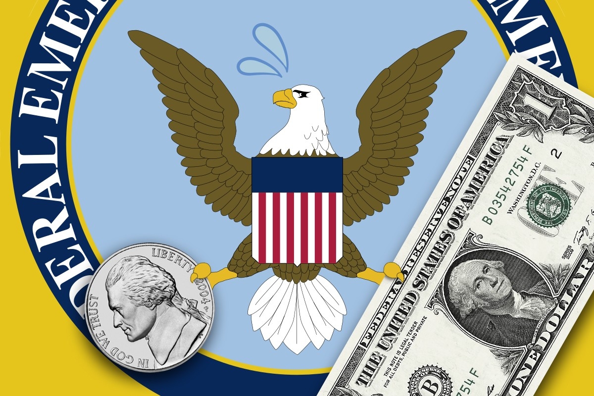 The FEMA logo holding money.