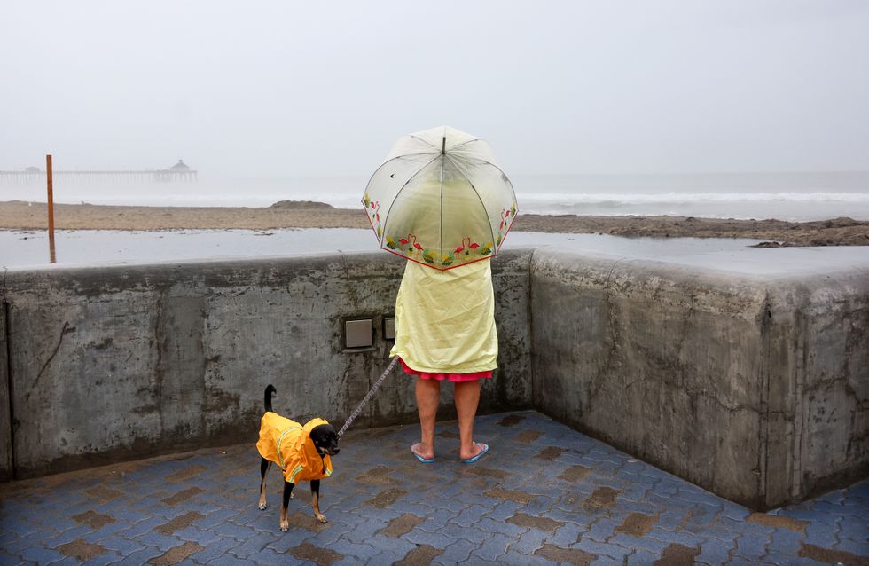 A woman looking at the sea.