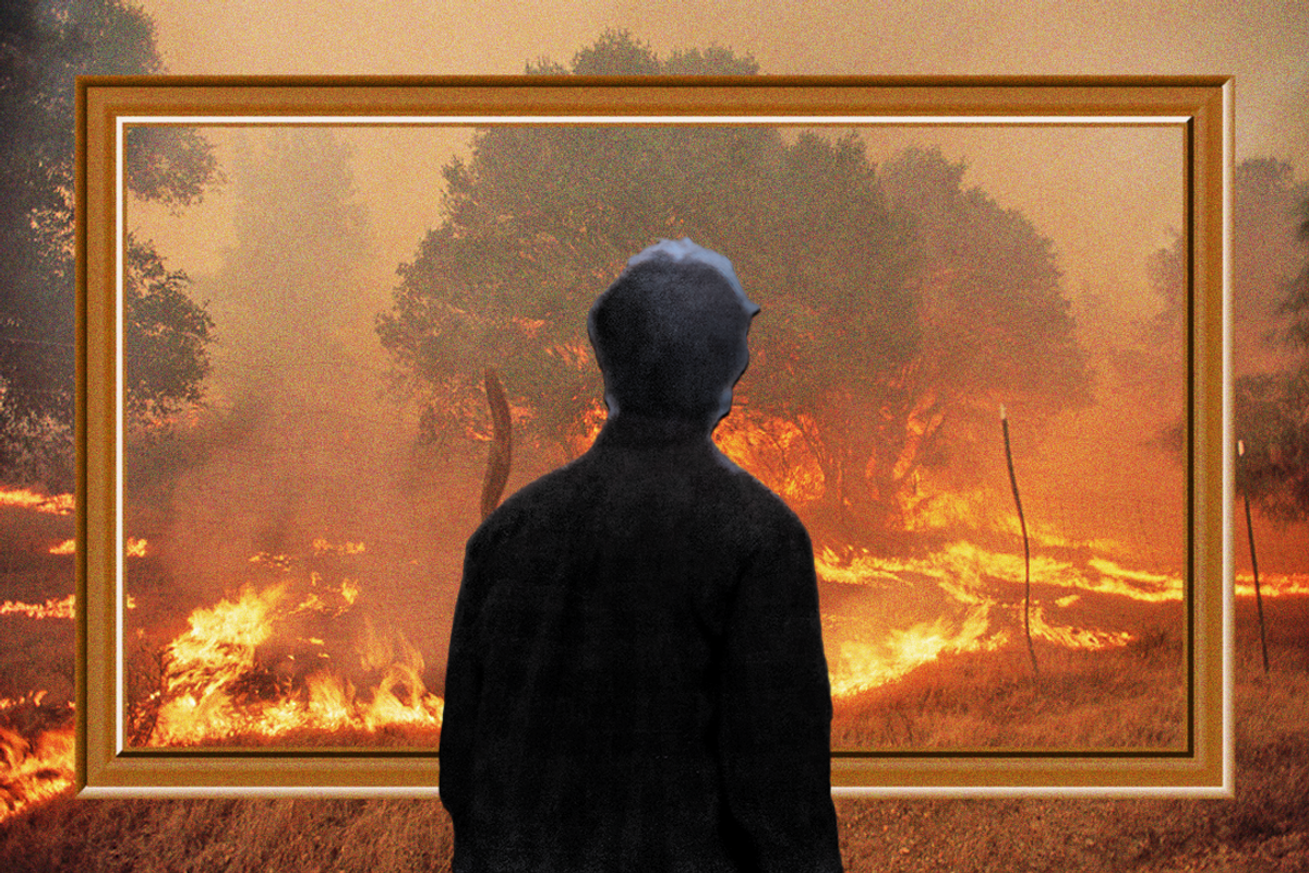 Wildfire historian