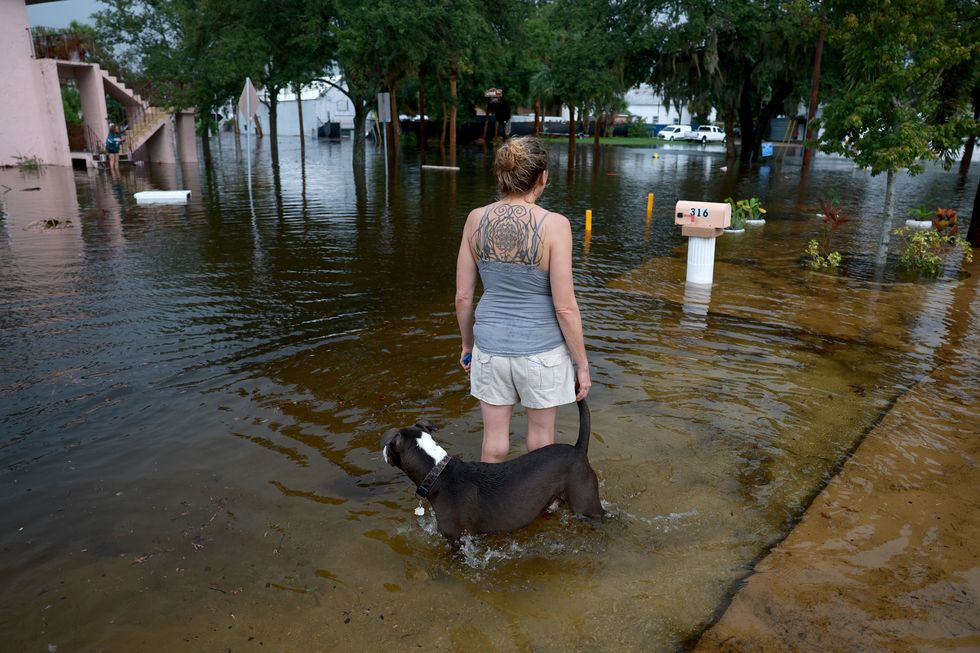 A woman and her dog walking through floodwaters.