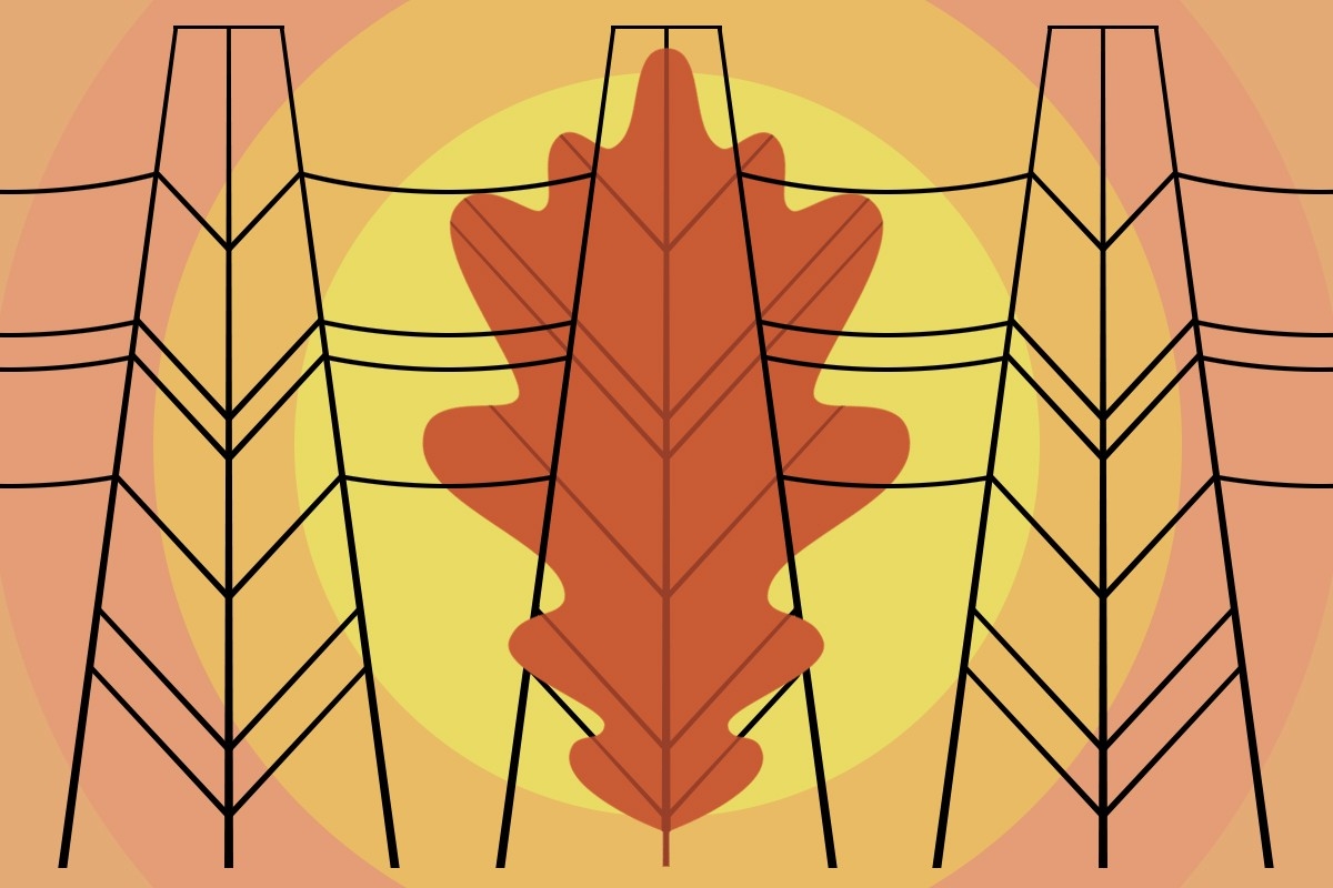 A leaf and power lines.