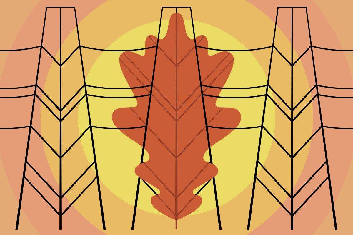 A leaf and power lines.