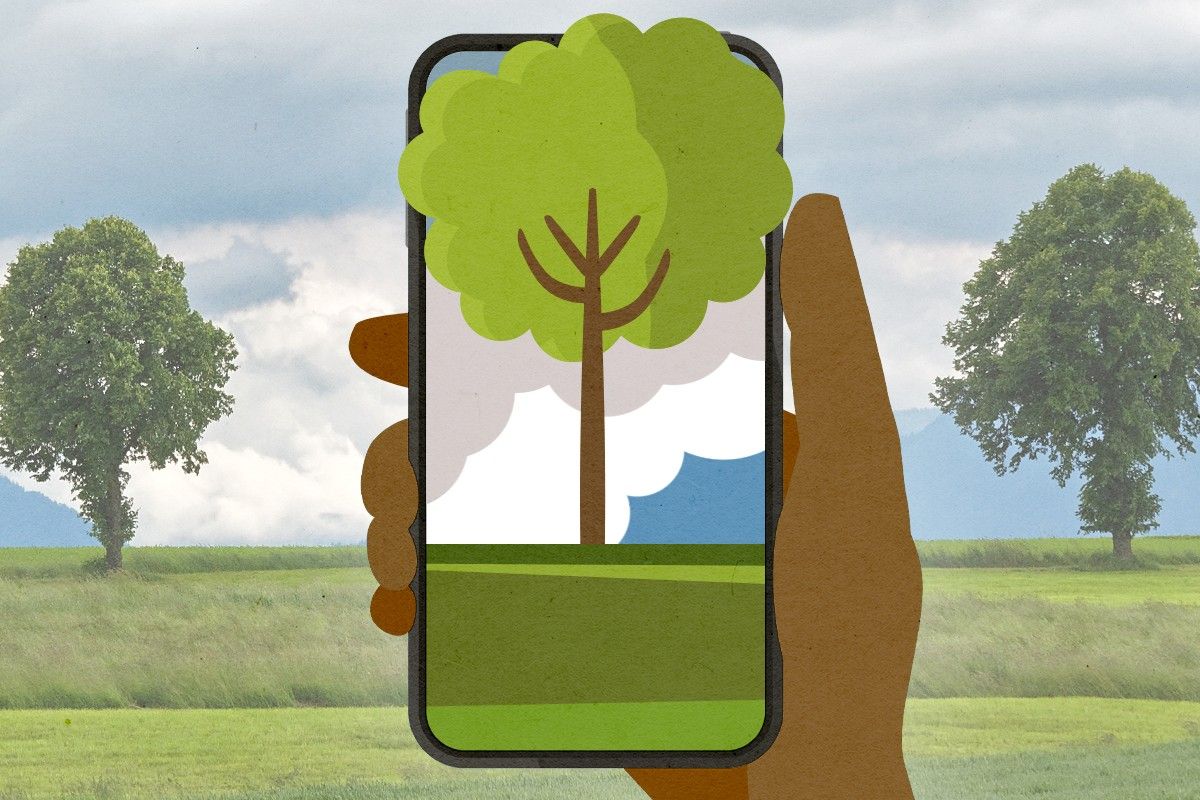 An iPhone in nature.