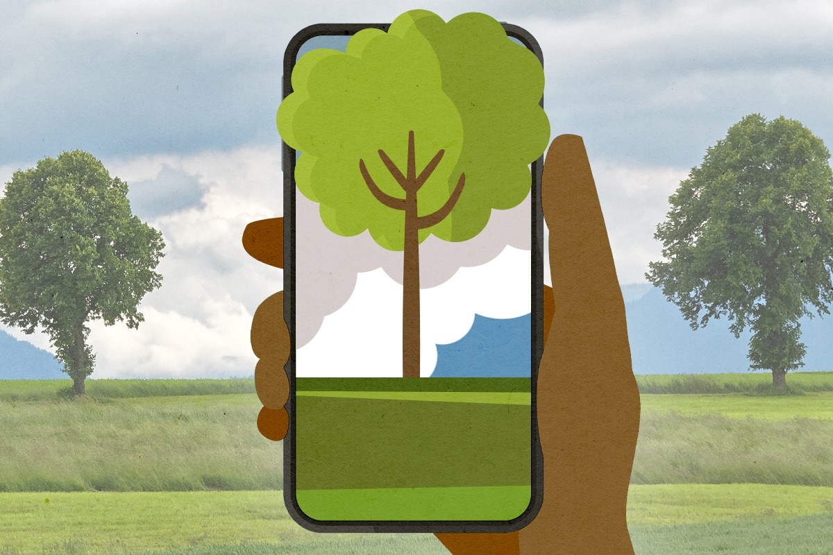 An iPhone in nature.