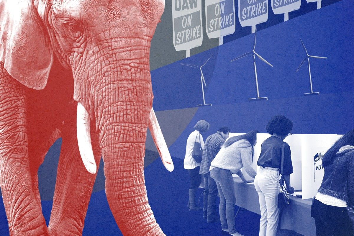 An elephant and voters.